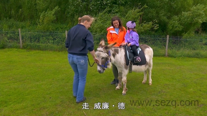 我的宠物和我 - 动画资源画廊第8张