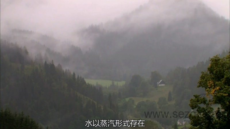 人类大历史 - 动画资源画廊第7张