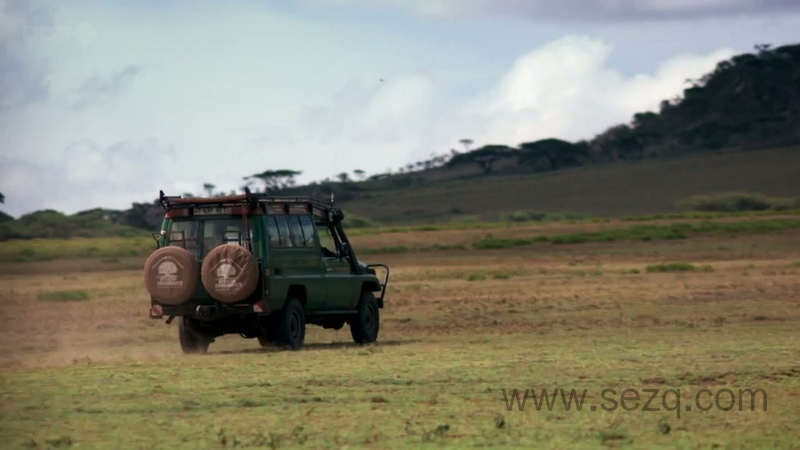 宇宙的奇迹 - 动画资源画廊第9张