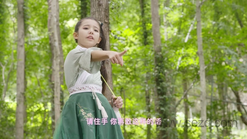 舞法天女之绚彩归来 - 动画资源画廊第2张