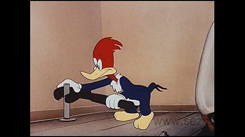 啄木鸟伍迪 - 动画资源画廊第6张