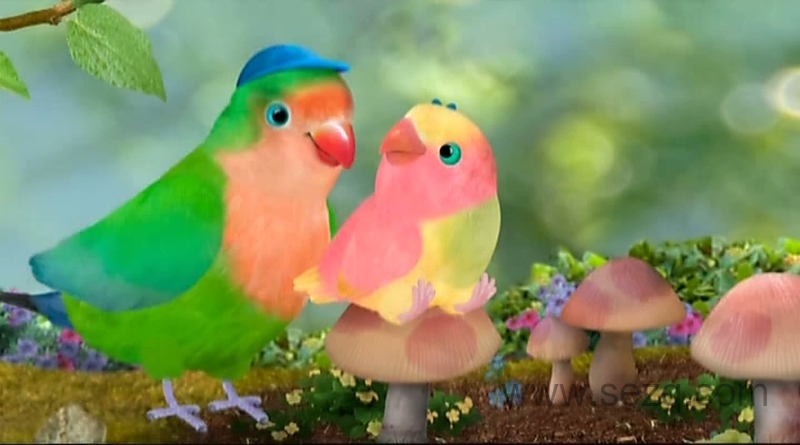 小鸟三号 - 动画资源画廊第9张