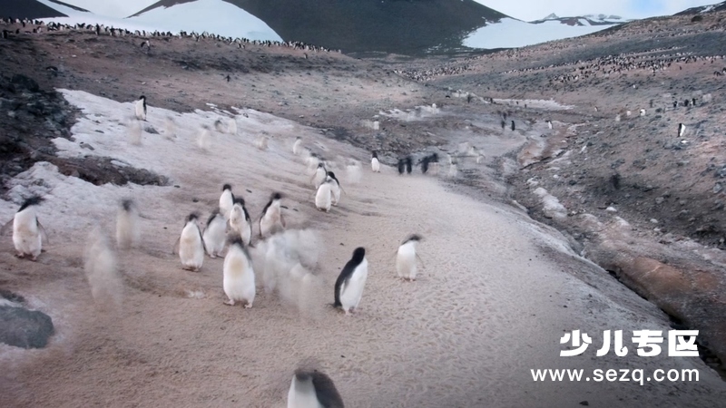 冰冻星球 - 动画资源画廊第6张