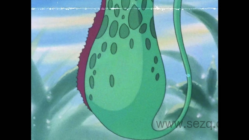 小蜜蜂寻母记 - 动画资源画廊第8张