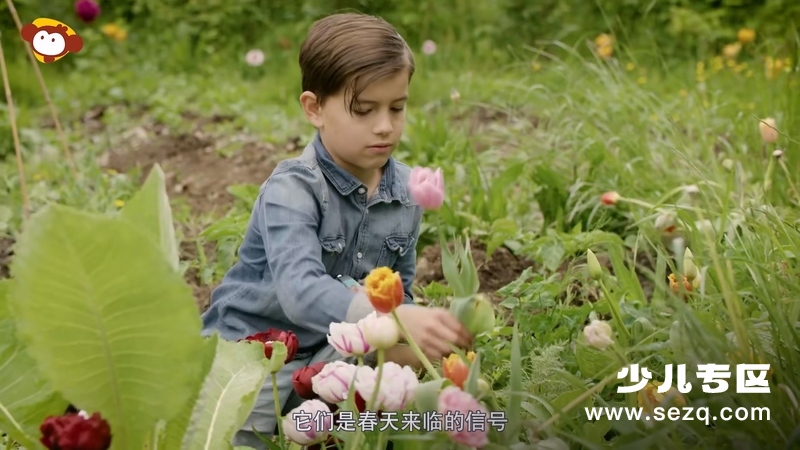 图图的自然博物馆 - 动画资源画廊第4张