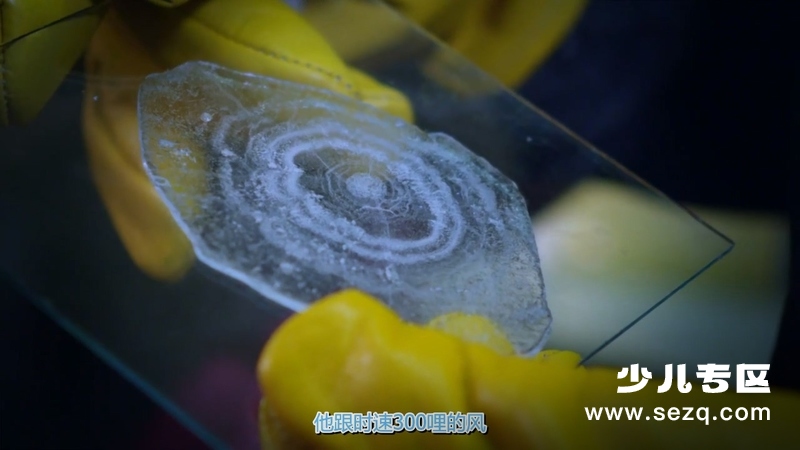 狂野天气探秘 - 动画资源画廊第8张