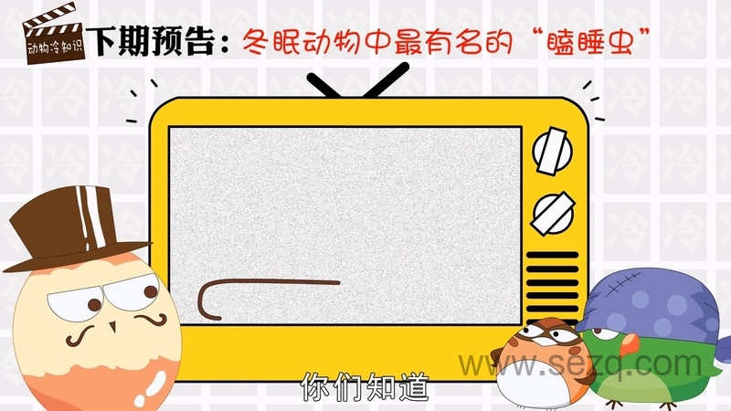 动物冷知识 - 动画资源画廊第2张