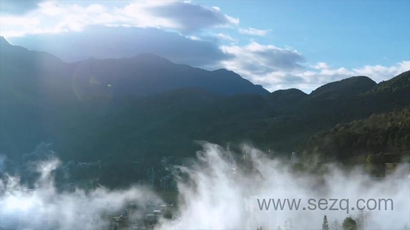 影响世界的中国植物 - 动画资源画廊第5张