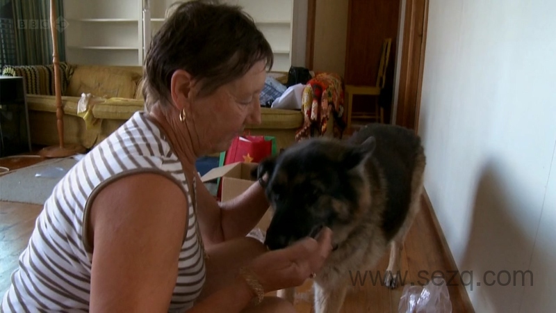 企鹅岛 - 动画资源画廊第4张