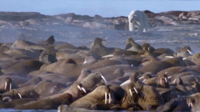 安迪的旅行冒险 - 动画资源画廊第6张