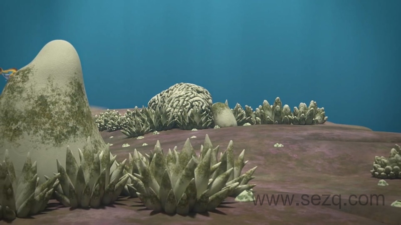 浪花与泡泡 - 动画资源画廊第9张