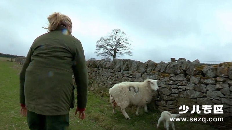 动物的母性 - 动画资源画廊第3张