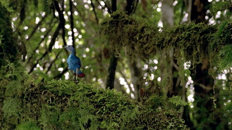 安迪的恐龙冒险 - 动画资源画廊第5张