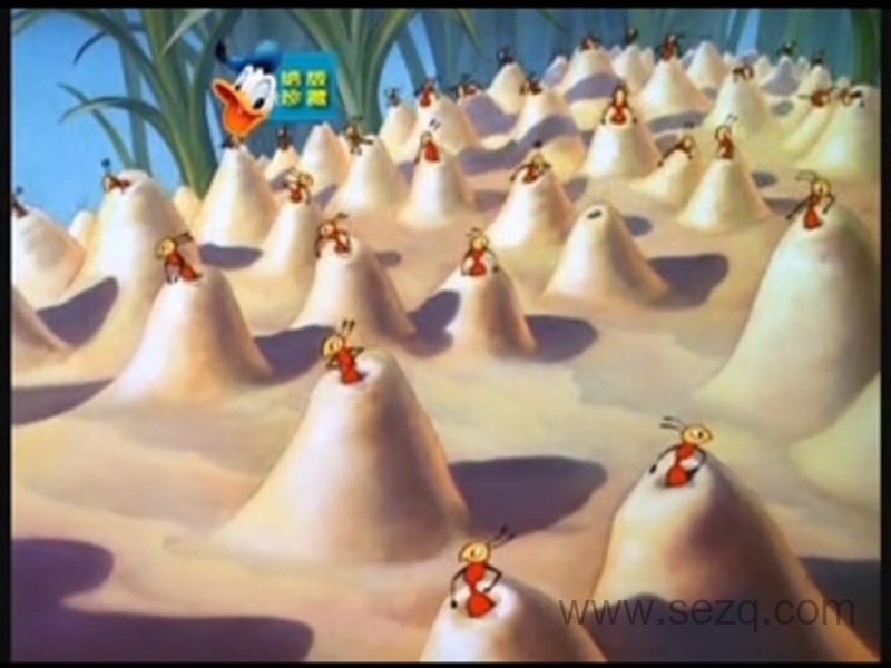 唐老鸭的幸福生活 - 动画资源画廊第7张