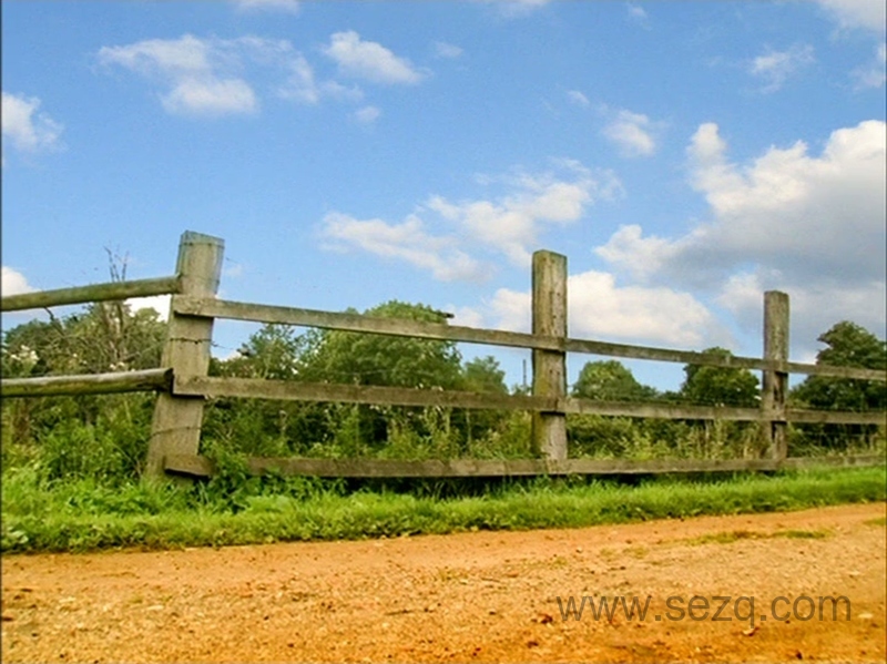 昆虫小世界 - 动画资源画廊第6张