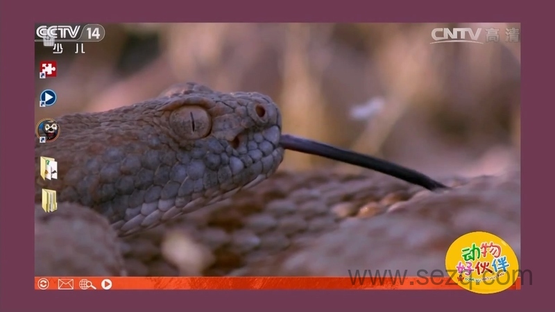 动物好伙伴 - 动画资源画廊第6张