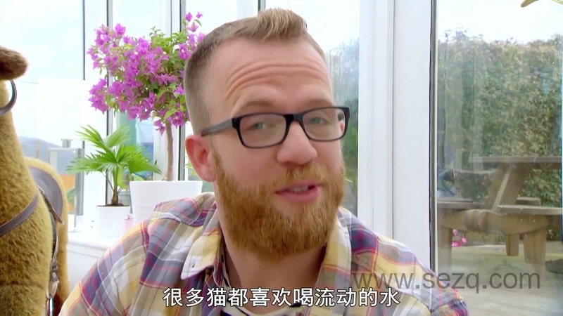 我的宠物和我 - 动画资源画廊第8张