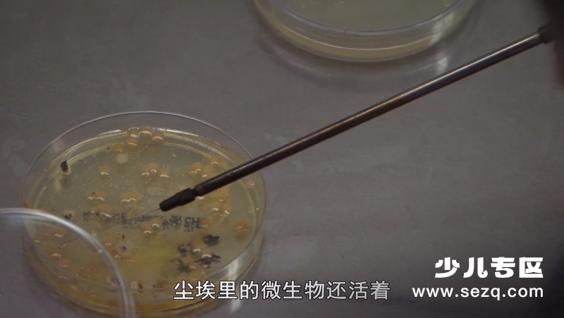 风暴星球 - 动画资源画廊第8张