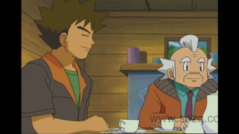 精灵宝可梦：超世代 - 动画资源画廊第5张