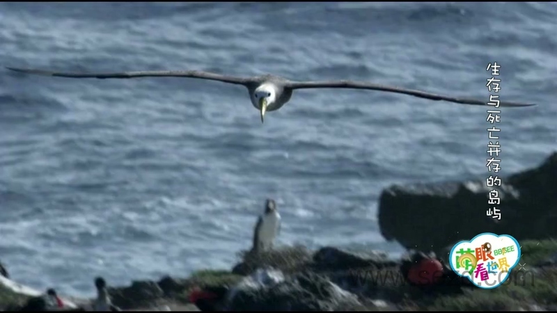 萌眼看世界 - 动画资源画廊第3张