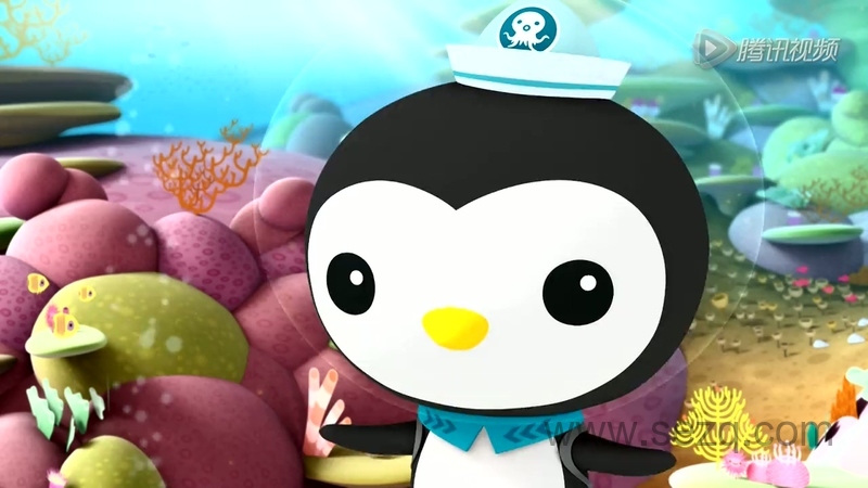 海底小纵队 - 动画资源画廊第8张