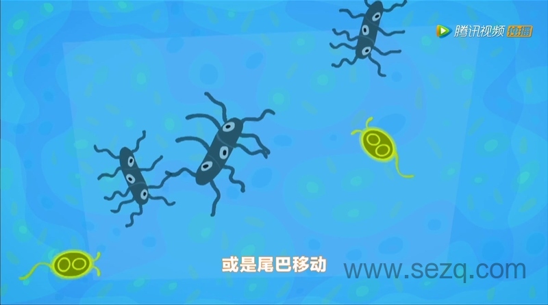 螺丝钉 - 动画资源画廊第5张