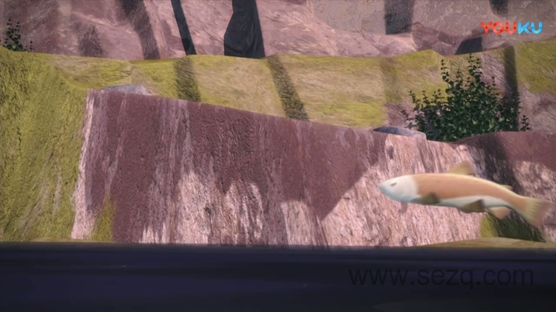 小狼旺吉 - 动画资源画廊第4张