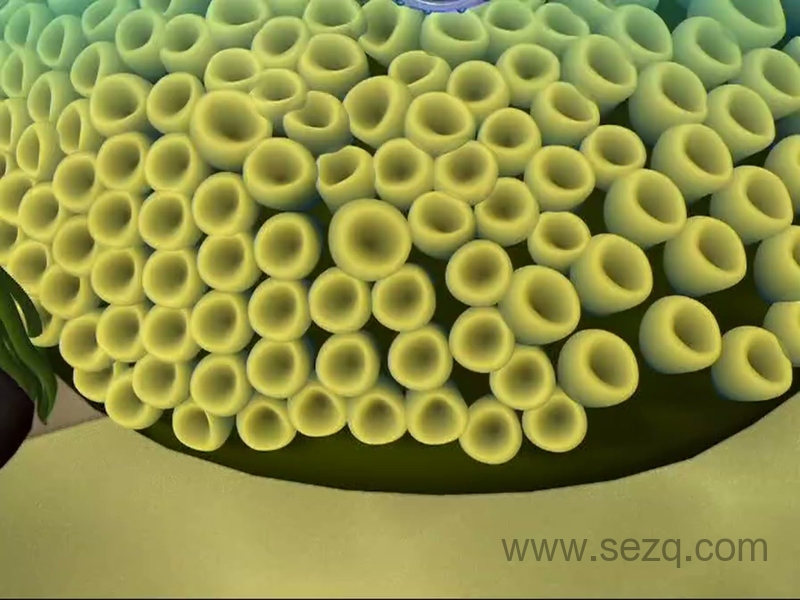 探索地球村 - 动画资源画廊第7张