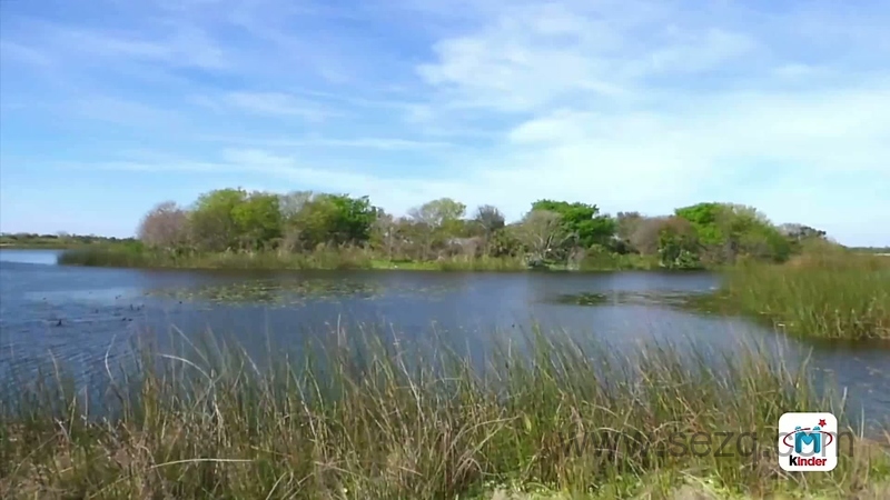 宝宝爱玩具 - 动画资源画廊第3张