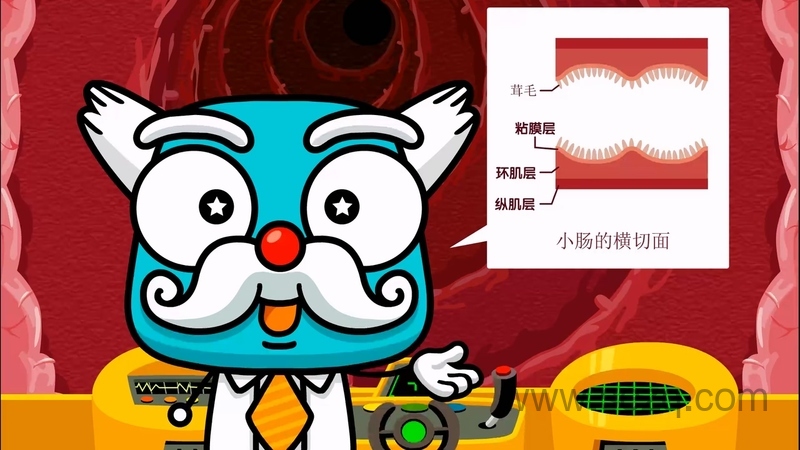 身体秘密 - 动画资源画廊第4张