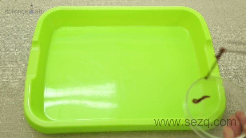 芝麻爱科学 - 动画资源画廊第2张