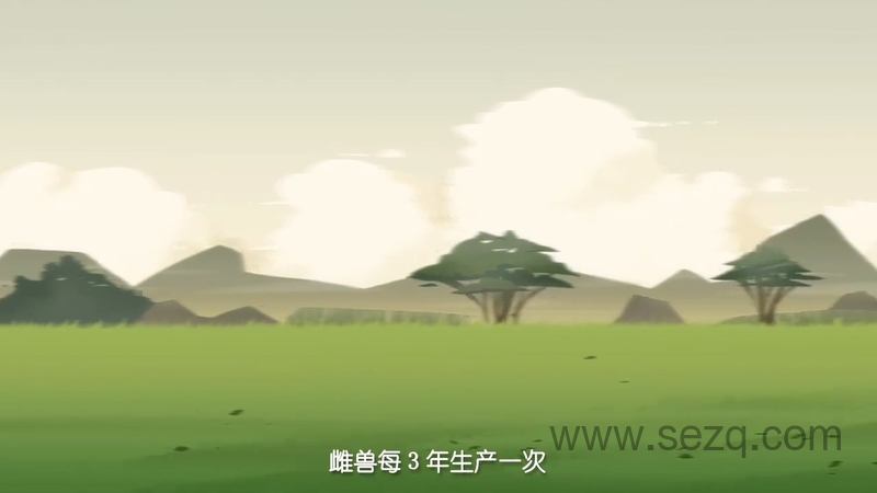 摩登大自然 - 动画资源画廊第6张