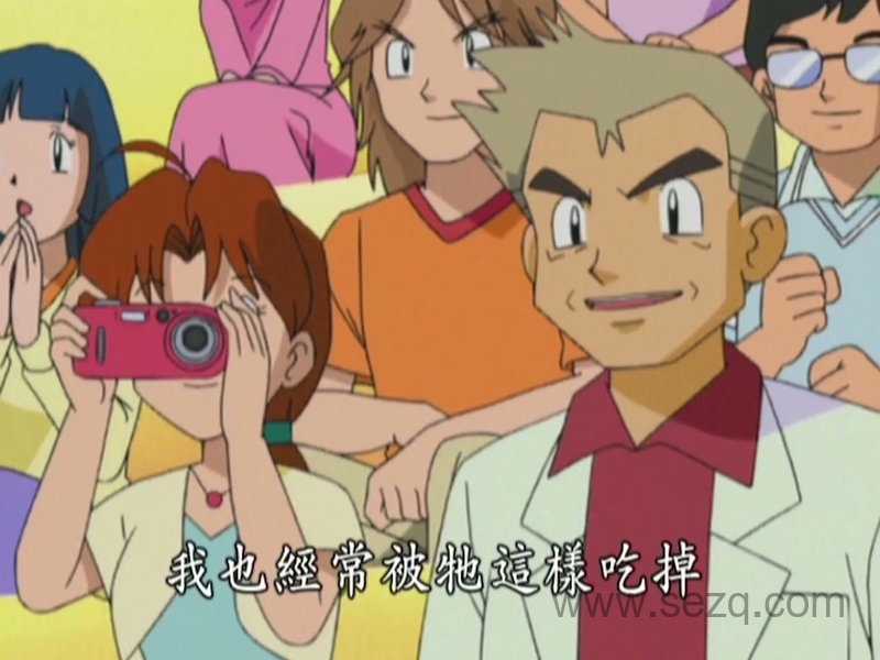 精灵宝可梦：无印篇 - 动画资源画廊第3张