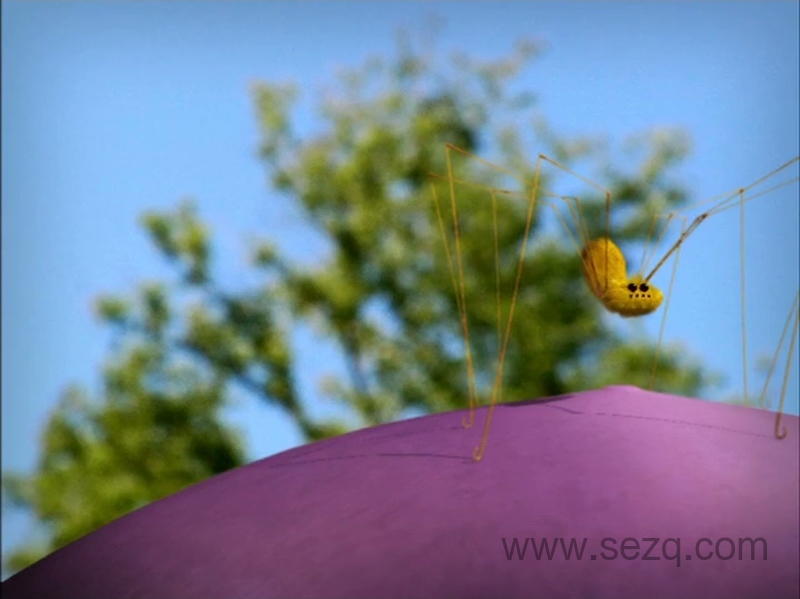 昆虫小世界 - 动画资源画廊第8张