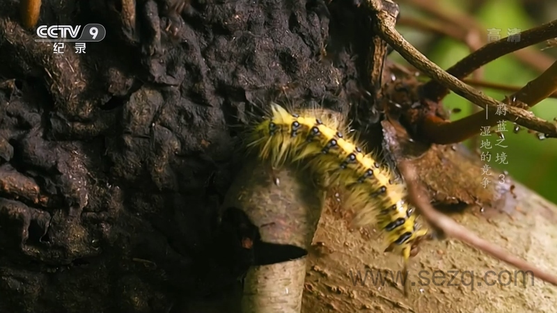 蔚蓝之境 - 动画资源画廊第6张