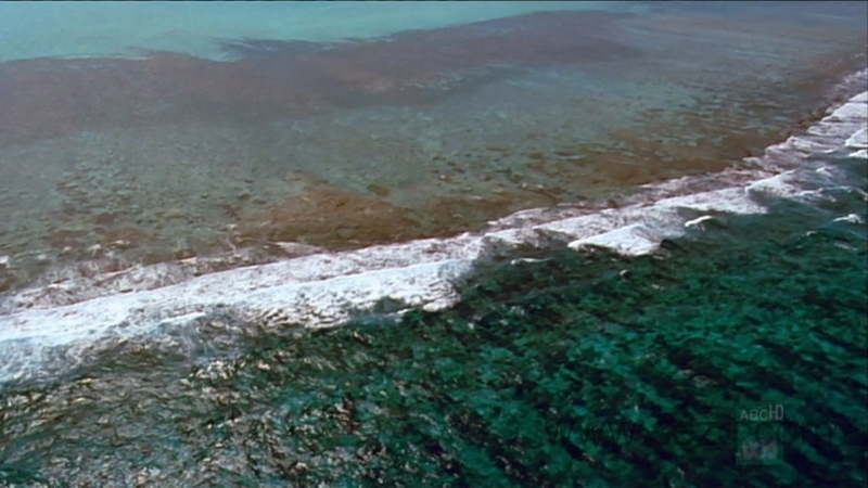 野性加勒比 - 动画资源画廊第2张