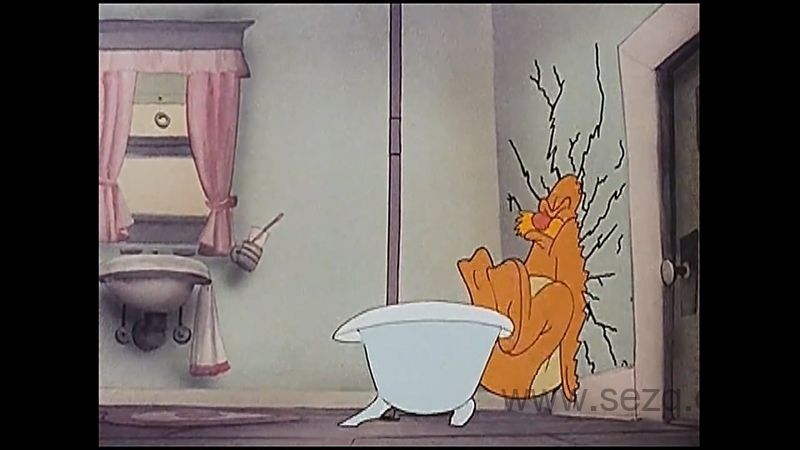 啄木鸟伍迪 - 动画资源画廊第4张