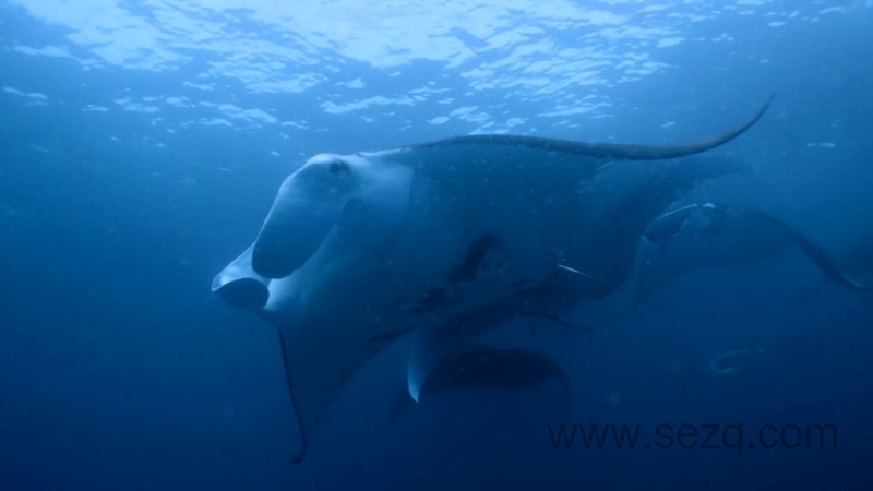 奇迹之地 - 动画资源画廊第5张