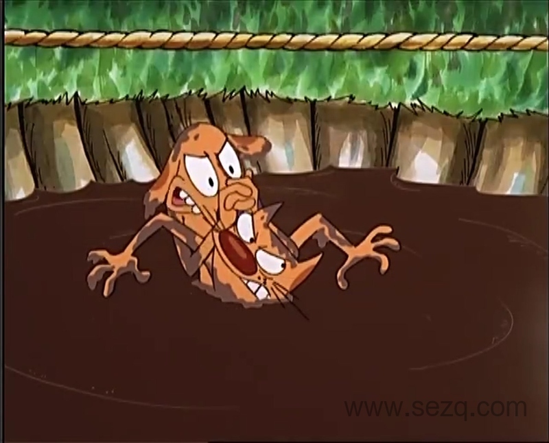 猫狗 - 动画资源画廊第3张