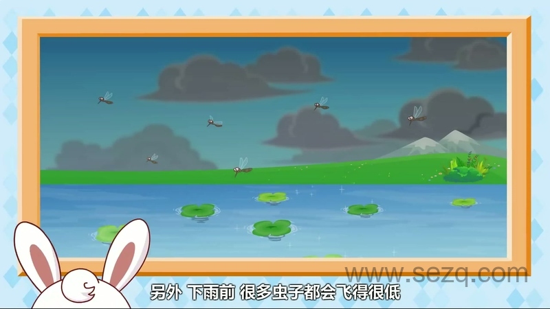 兔小贝之神奇的大自然 - 动画资源画廊第6张