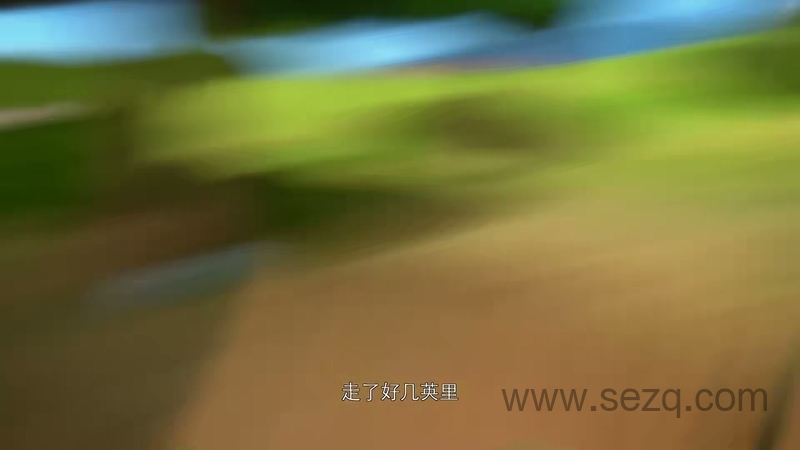 芭比梦幻屋冒险旅程 - 动画资源画廊第7张