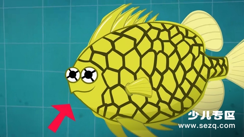 我是一条鱼 - 动画资源画廊第2张