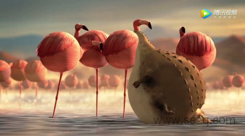 圆滚滚的动物世界 - 动画资源画廊第7张