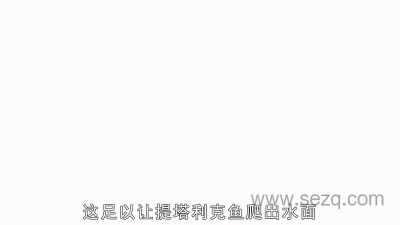 动物冷知识 - 动画资源画廊第6张