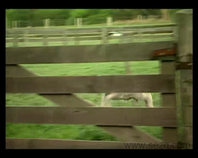 巧虎宝宝版1~2岁 2013年1月~12月 - 动画资源画廊第6张