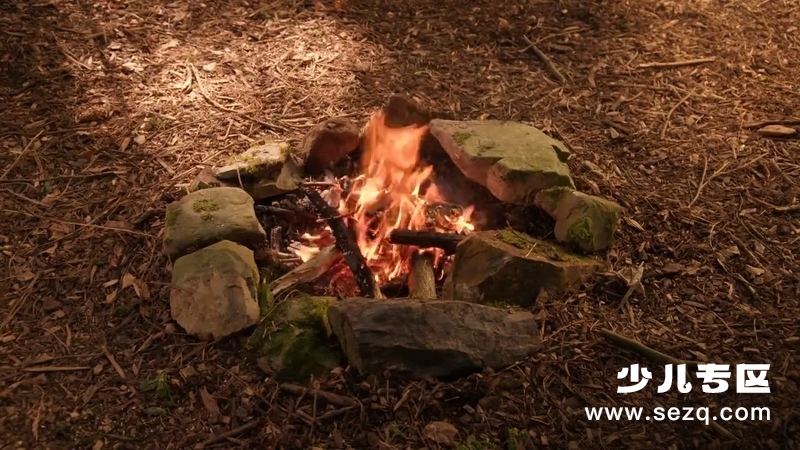 快乐森林 - 动画资源画廊第6张