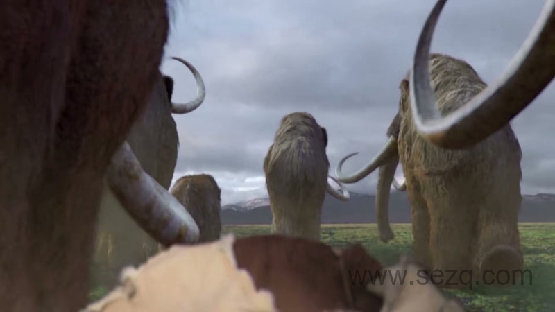 安迪的史前冒险 - 动画资源画廊第6张