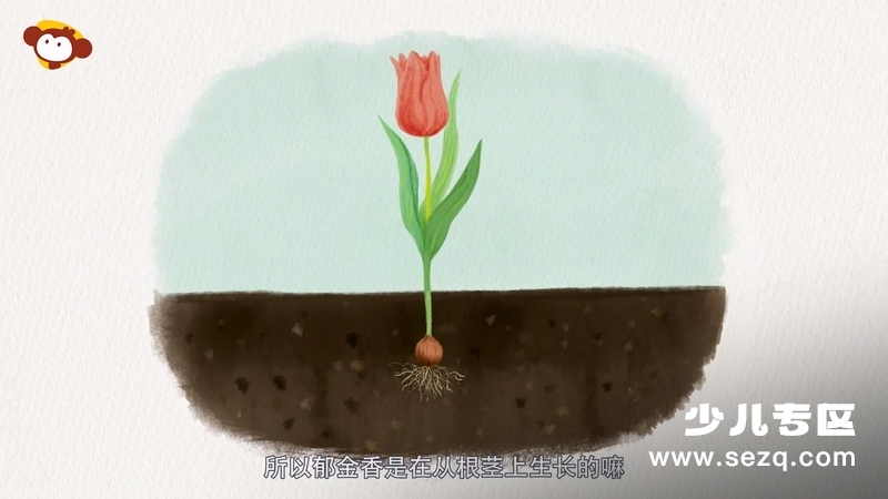 图图的自然博物馆 - 动画资源画廊第8张