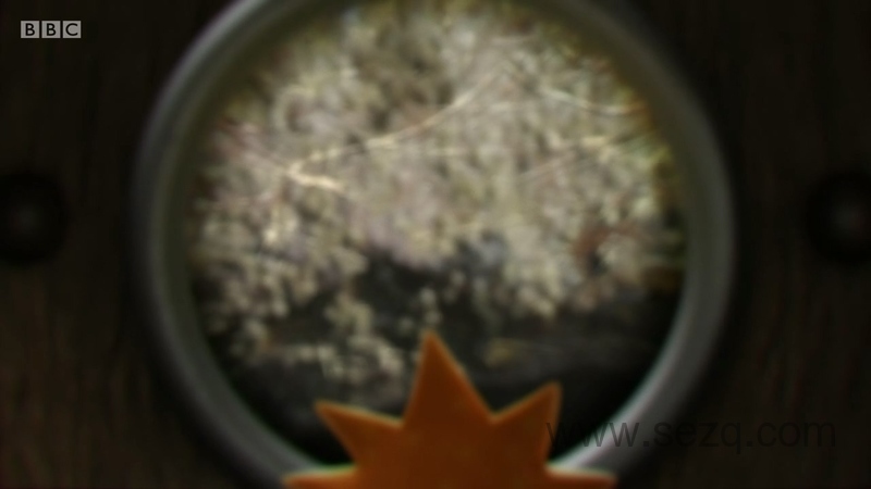 小奇迹 - 动画资源画廊第4张