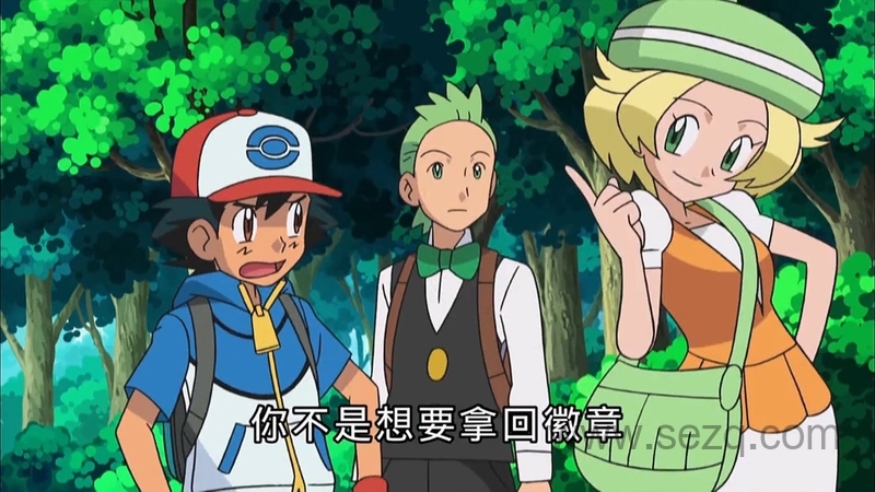 精灵宝可梦：超级愿望 - 动画资源画廊第9张